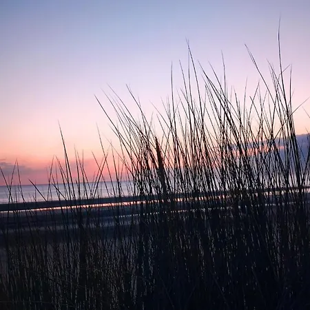 Σπίτι διακοπών Agreable Maison Avec Jardin A 100m De La