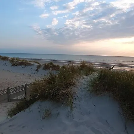 Maison Avec Jardin à 100m De La Сasa de vacaciones *