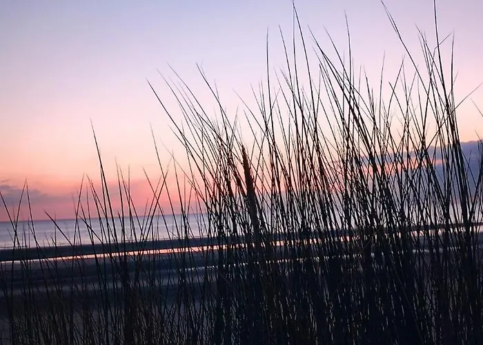 別荘 Agreable Maison Avec Jardin A 100m De La